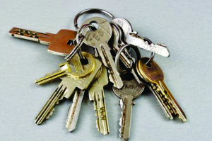 Web Tutorial Plus - Demo